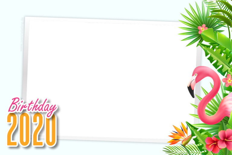 Geburtstag Flamingo